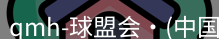 qmh球盟会
